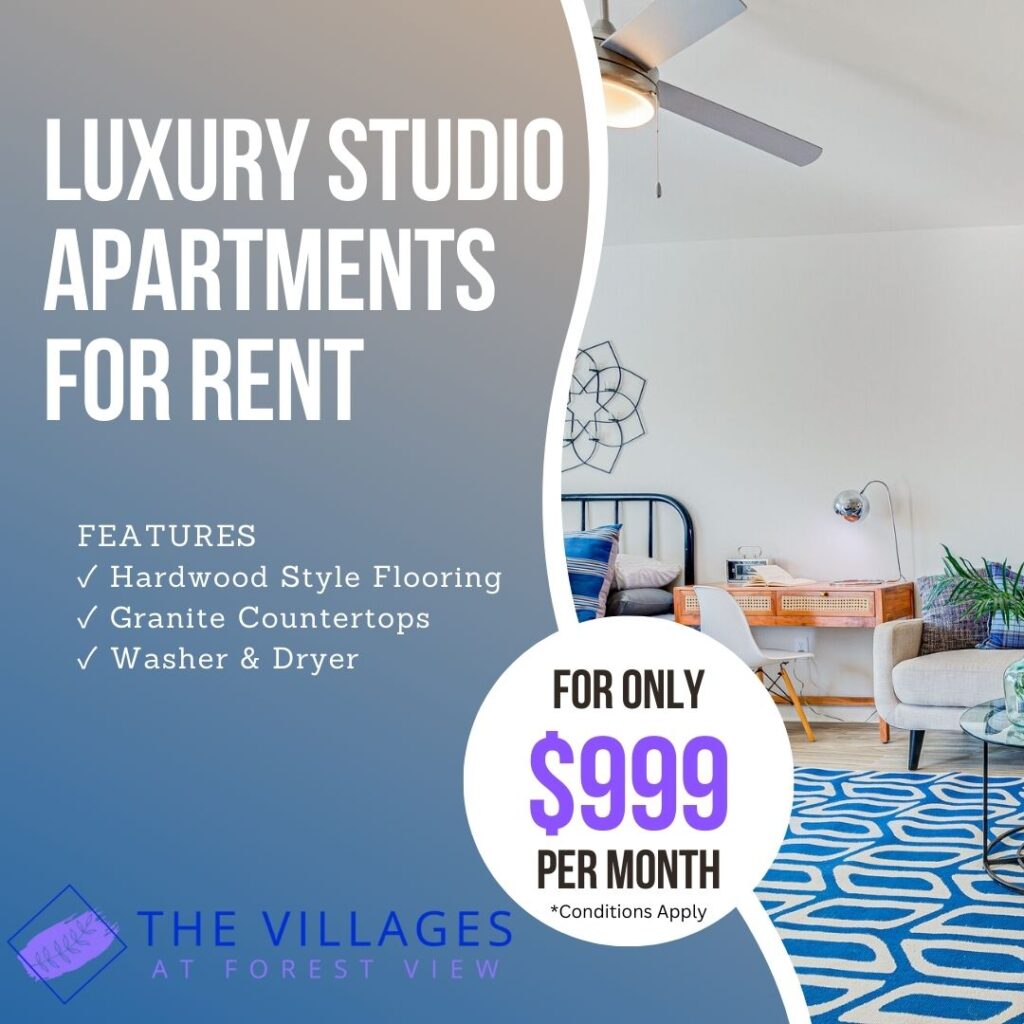 Luxury Studio Apartments for Rent - Features: Hardwood Style Flooring, Granite Countertops, Washer & Dryer, for only $999 per month *Conditions Apply - The Villages at Forest View - HND Realty